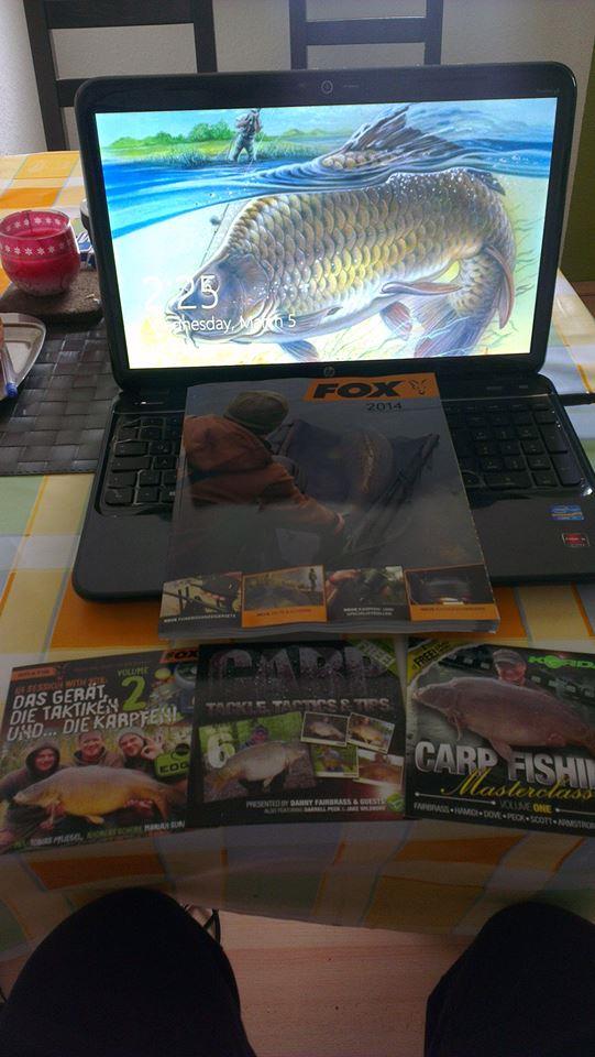 Pregatiri 2014 - Study